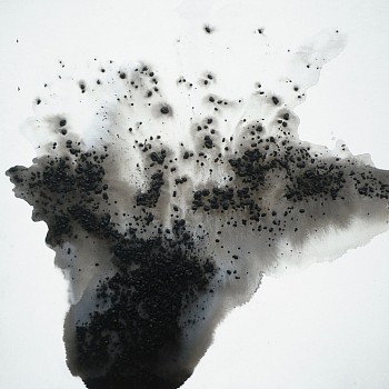 Muriel Napoli - Alerion 23 1/2 x 23 1/2 in.