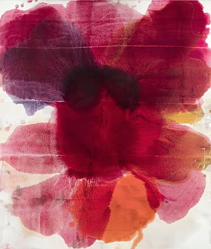 Dirk De Bruycker - Radiance 44 x 38 in.