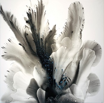 Muriel Napoli - Higanbana 55 x 55 in.