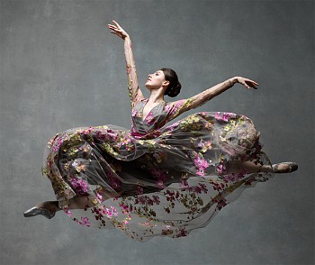 Ken Browar & Deborah Ory - Tiler Peck  42 x 50 in.