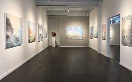 Past Exhibitions: Laura Fayer Jun  1 - Jul 31, 2020