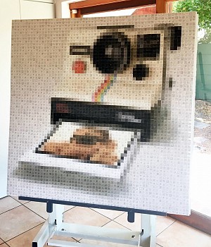 Pamela Stretton - Vintage Snap 48 x 48 in.