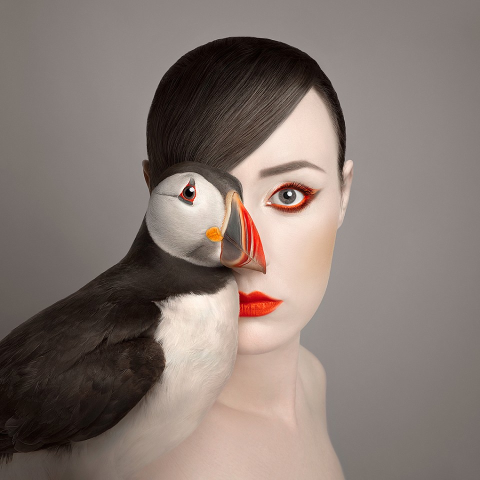Flora Borsi, Animeyed, Little Puffin
Archival pigment print on Hahnemühle paper, 27 1/2 x 27 1/2 in.