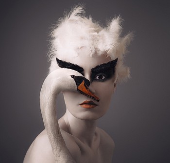 Flora Borsi - Animeyed, Swan 27 1/2 x 28 3/4 in.