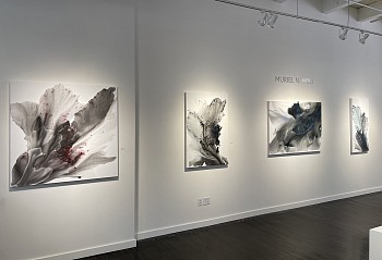 Muriel Napoli - Installation view 2021