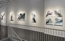 Past Exhibitions: Muriel Napoli Feb  1 - Mar 17, 2019