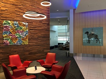 Paul Rousso - Installation View 