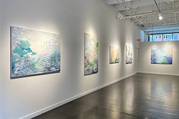 Laura Fayer Solo Exhibition&nbsp;