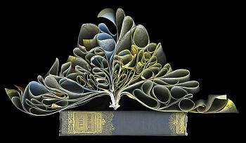 Cara Barer -&nbsp;Pathfinder Sizes vary