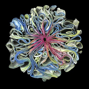 Cara Barer -&nbsp;Rainbow Sizes vary