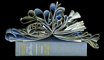 Cara Barer -&nbsp;Stargazer Sizes vary