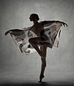 Ken Browar & Deborah Ory, Anne Souder Issey Miyake
Dye sublimation print on aluminum